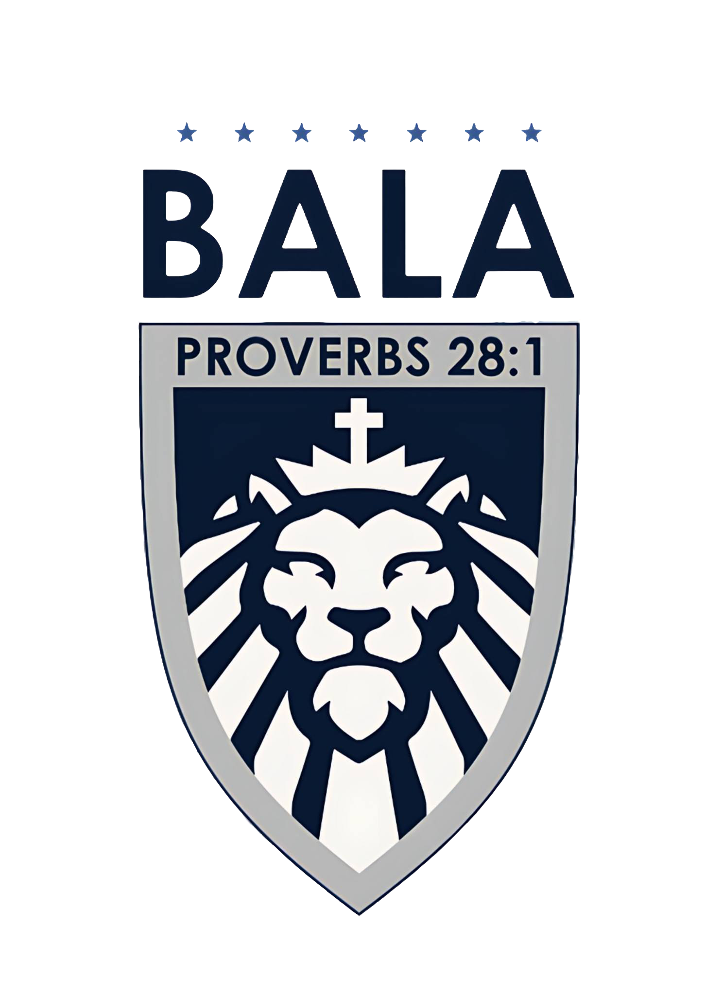 Bold Academy Dev